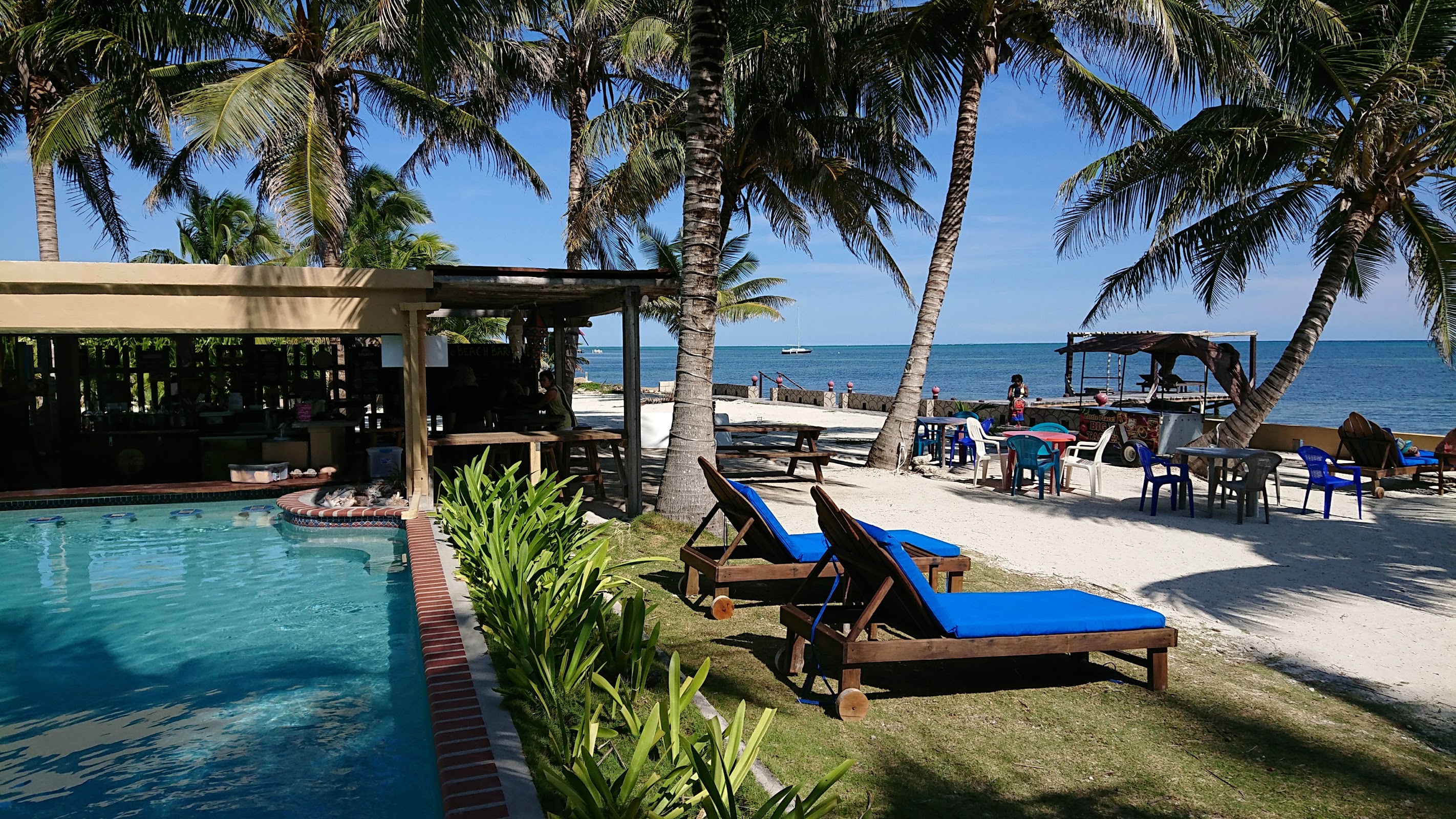 Coco's Loco Beach Bar photo 5