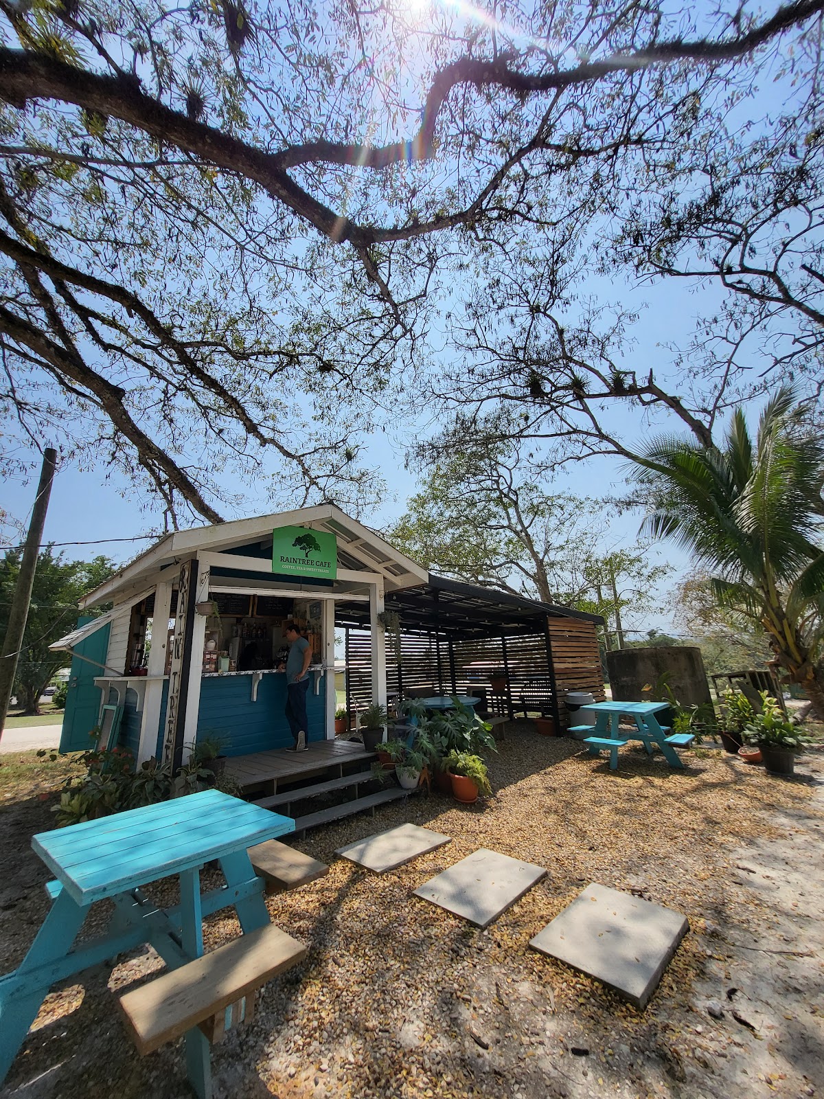 Raintree Cafe photo 3