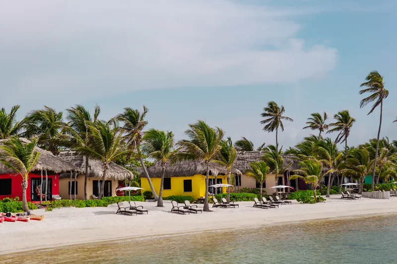 Mambo Restaurant and Bistro Belize photo 3