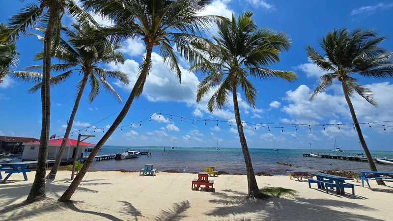 Happy Island Beach Bar & Grill photo 3