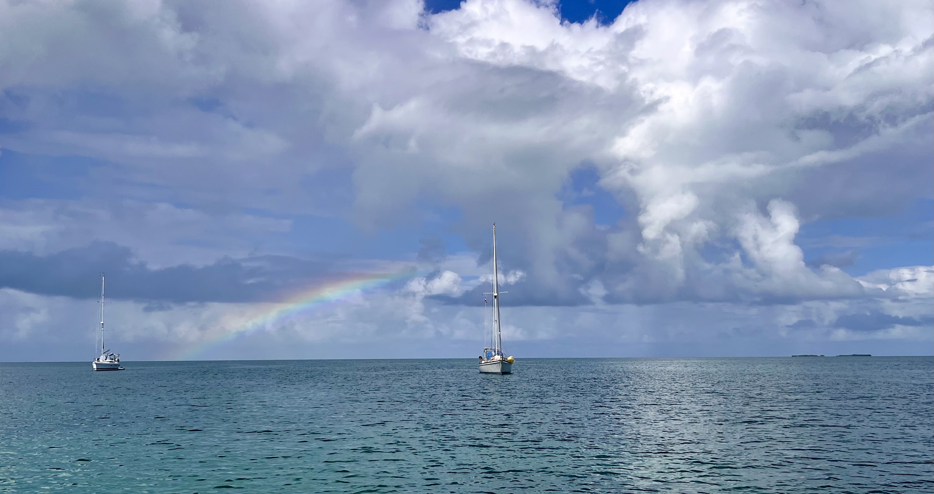 Liberty SailingTours photo 2