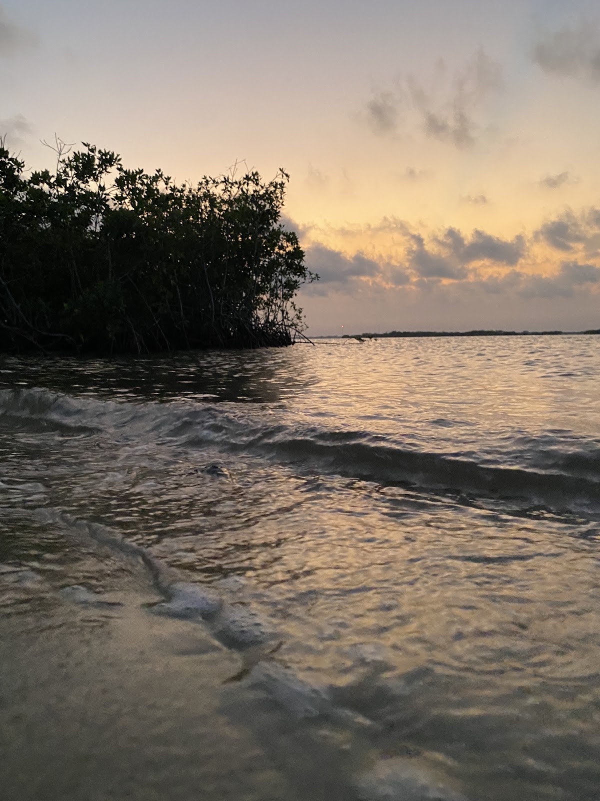 Paddle Placencia photo 2
