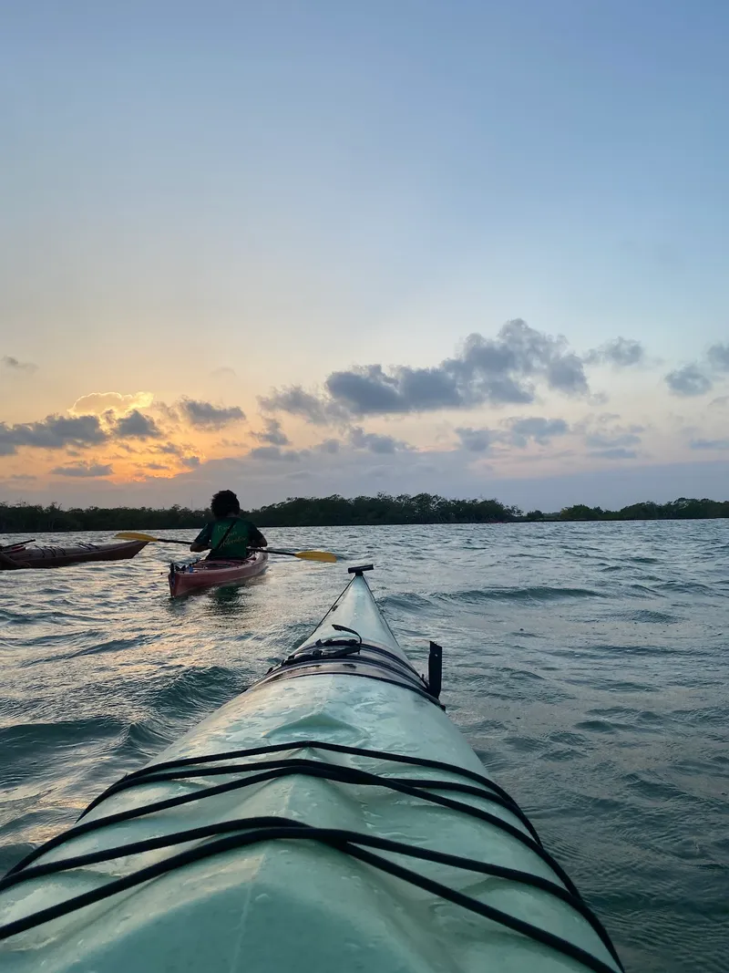 Paddle Placencia