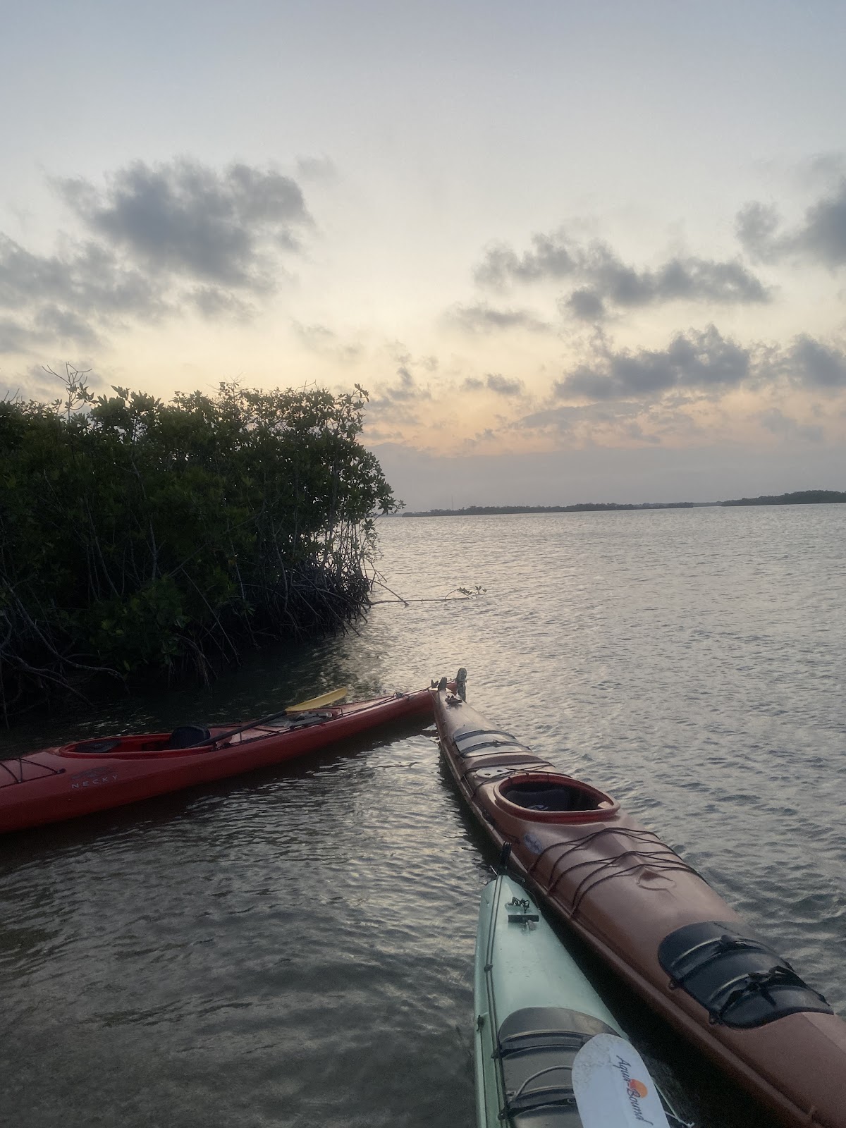 Paddle Placencia photo 7