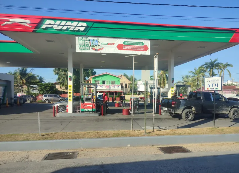 Puma Gas Station