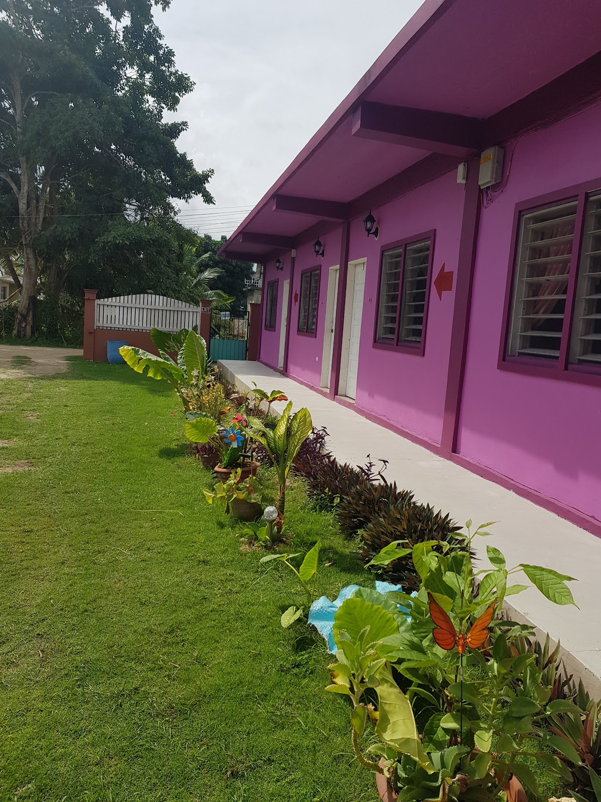 Twin Guest House photo 6