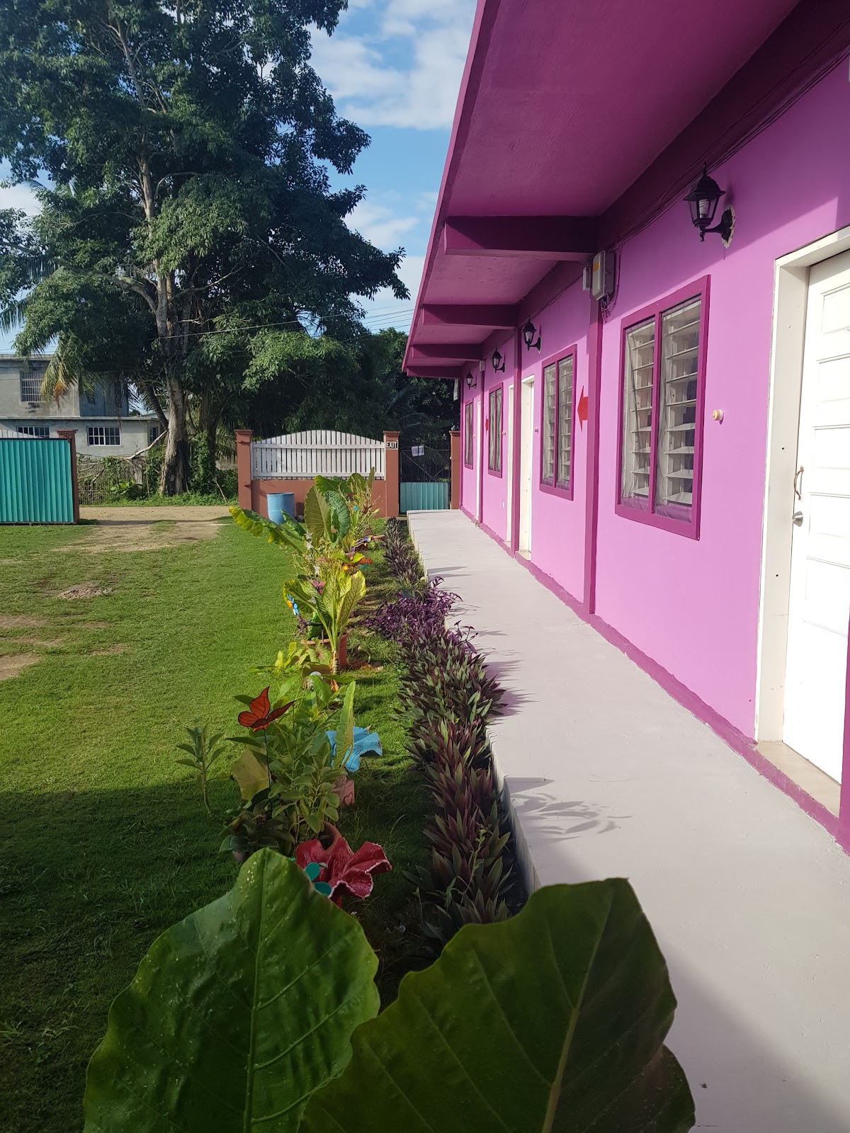 Twin Guest House photo 4