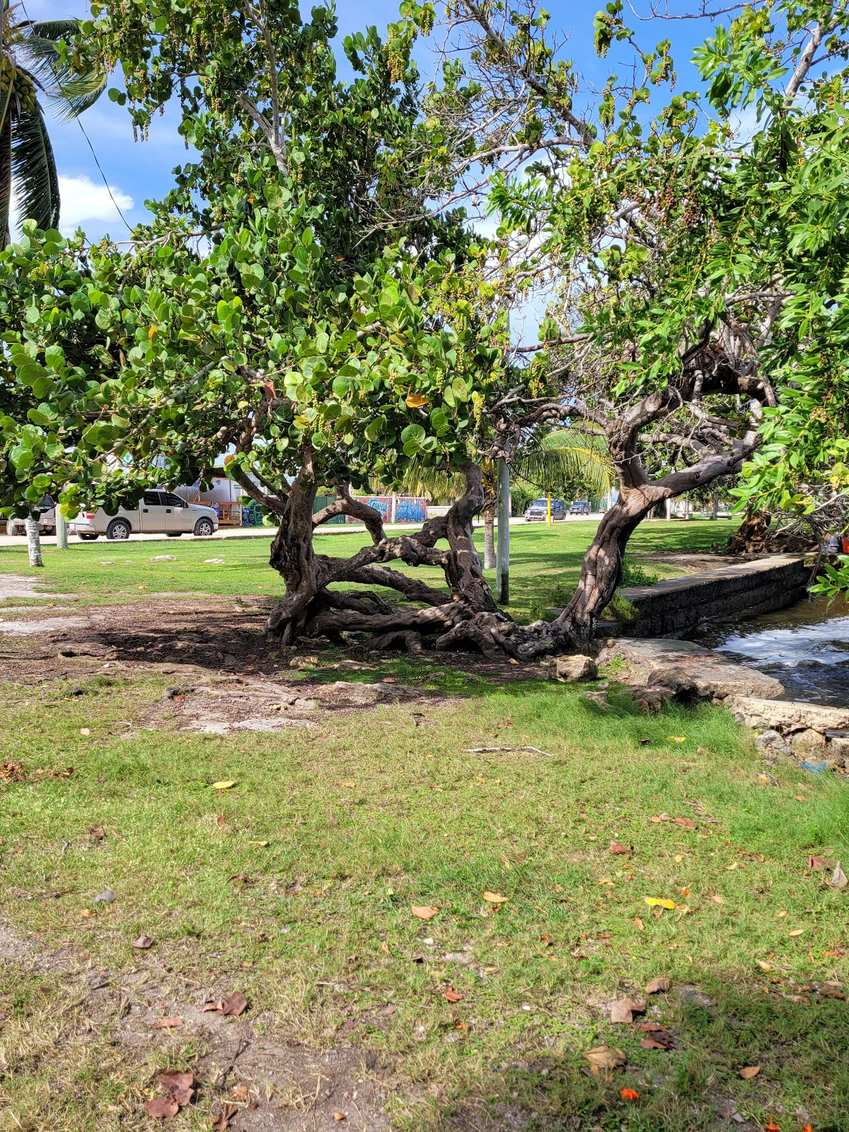 Miami Beach photo 2
