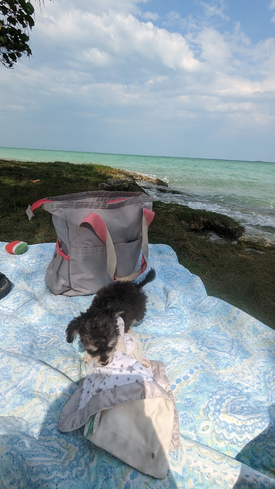 Miami Beach photo 6
