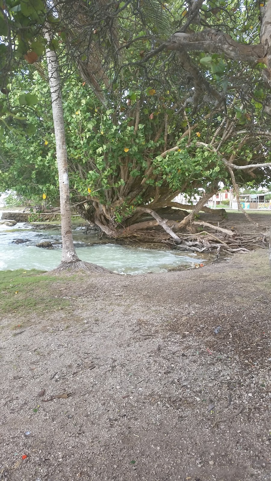 Miami Beach photo 5
