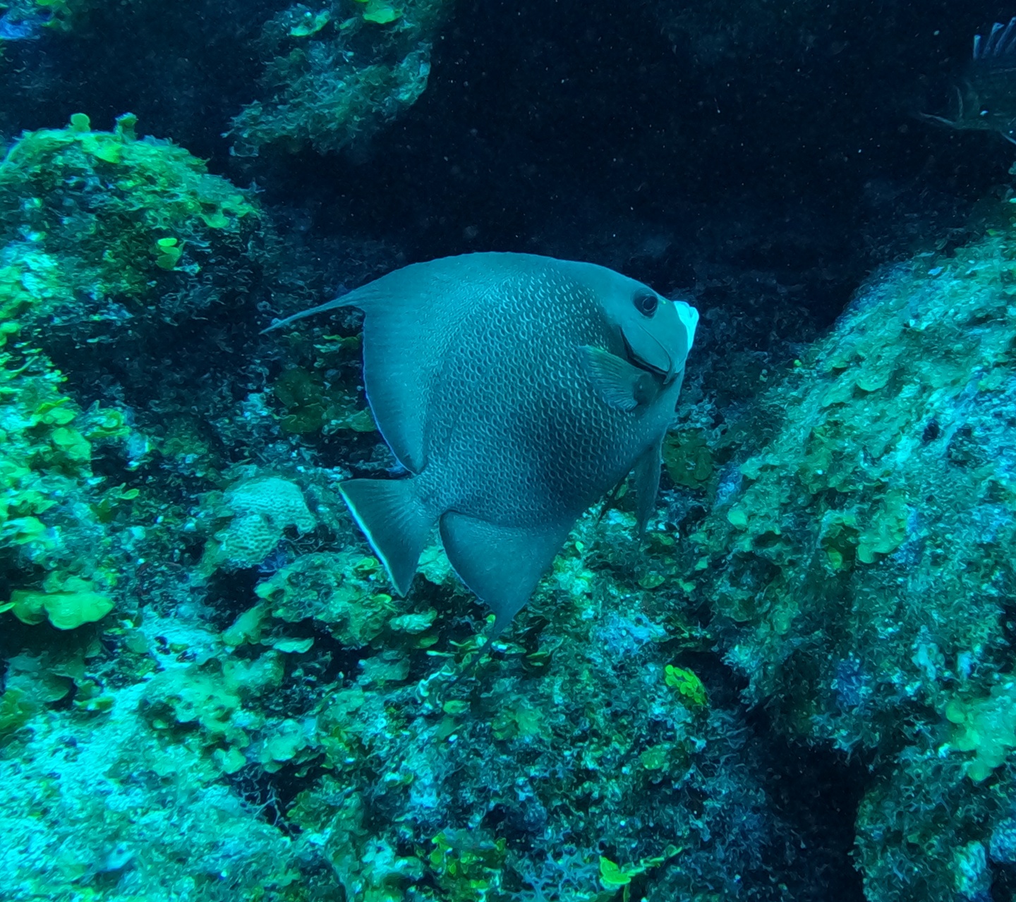 Tres Cocos Canyons photo 8