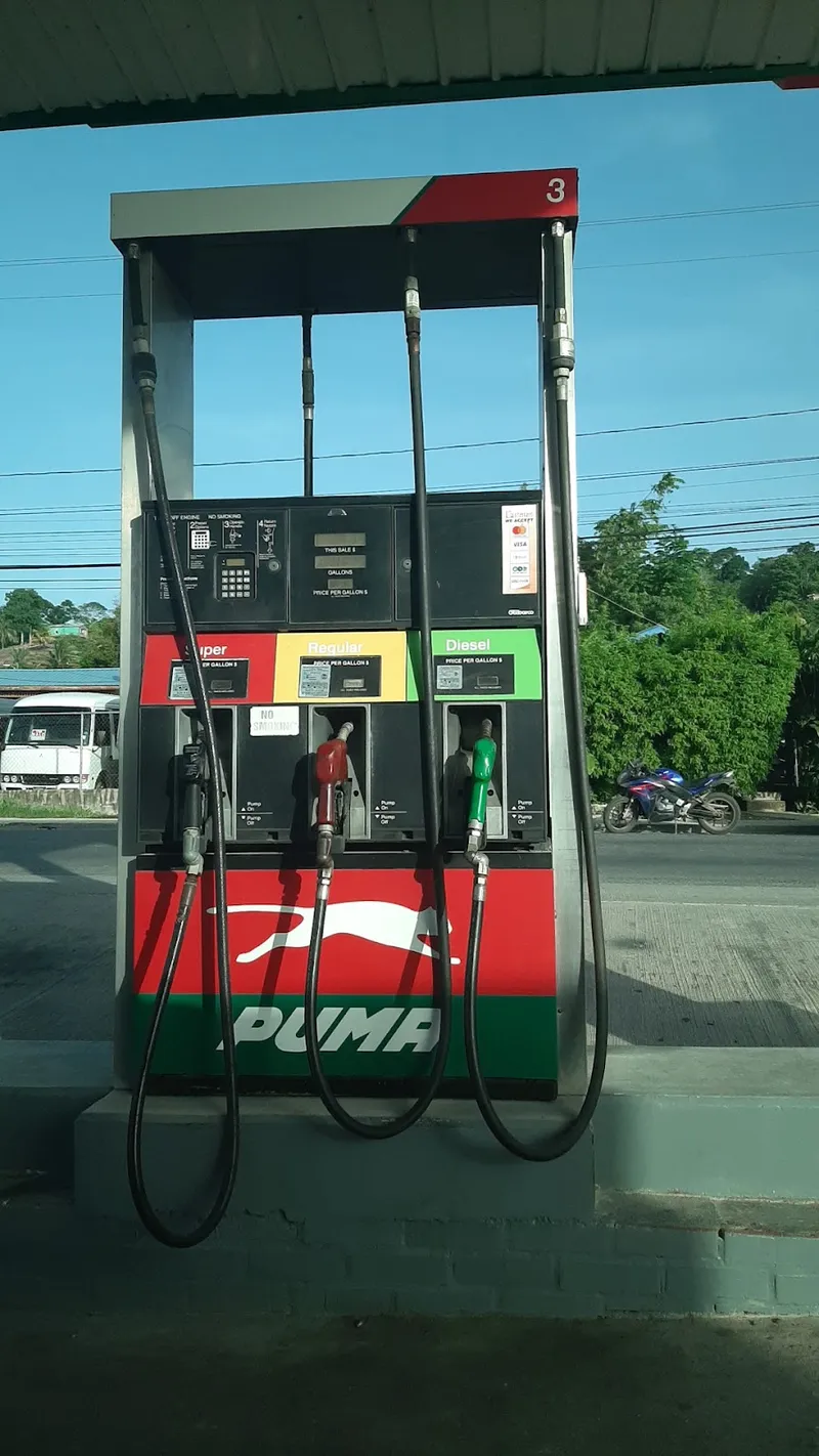 Puma Gas Station photo 3