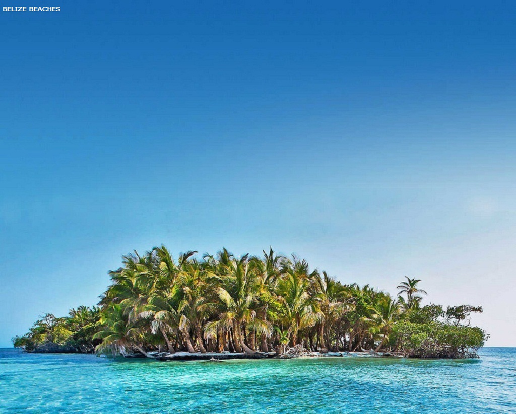 Belizean Beach photo 6