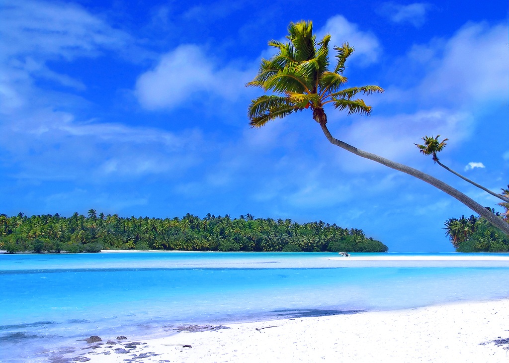 Belizean Beach photo 5