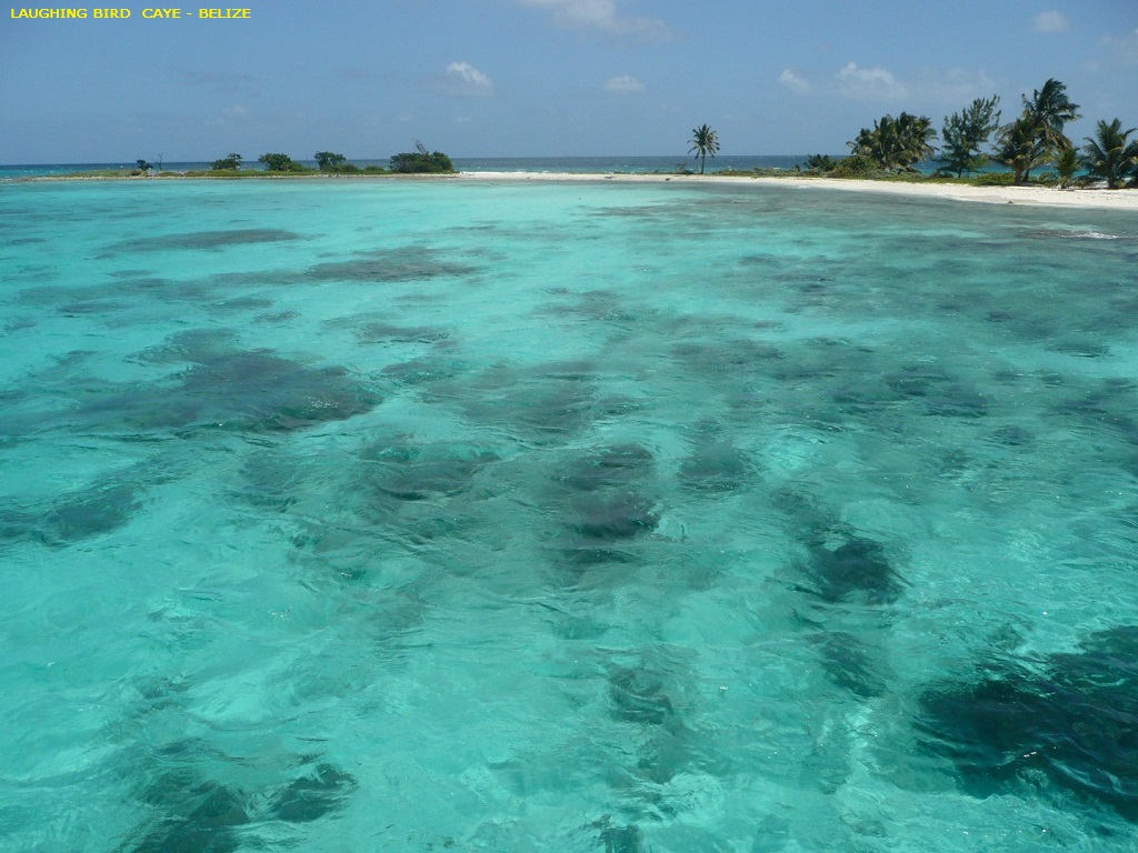 Belizean Beach photo 7