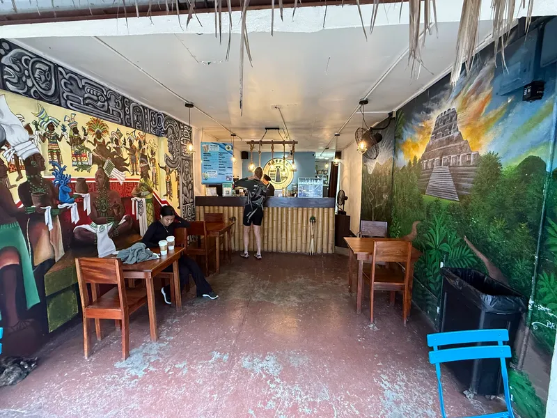 Coffee de los Mayas photo 4