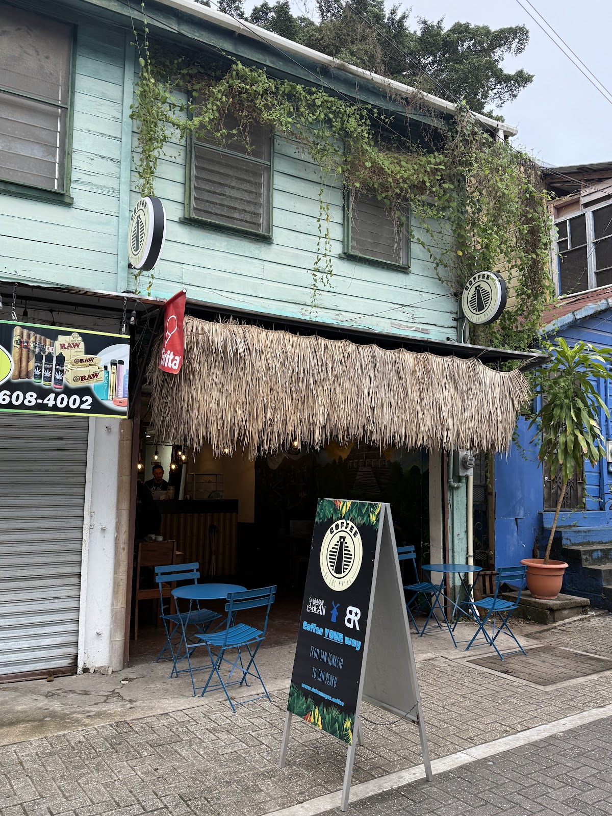 Coffee de los Mayas photo 5
