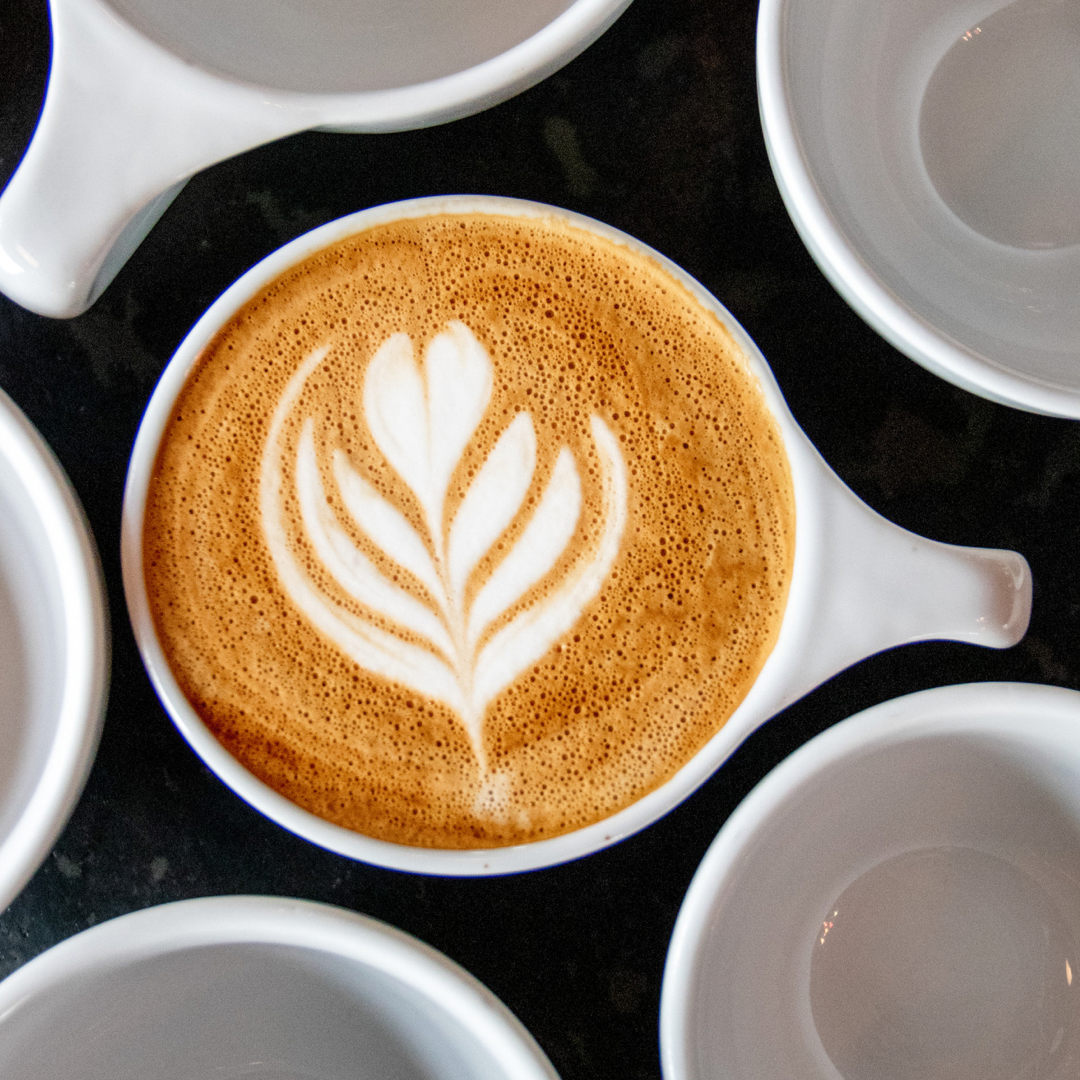 Coffee de los Mayas photo 6