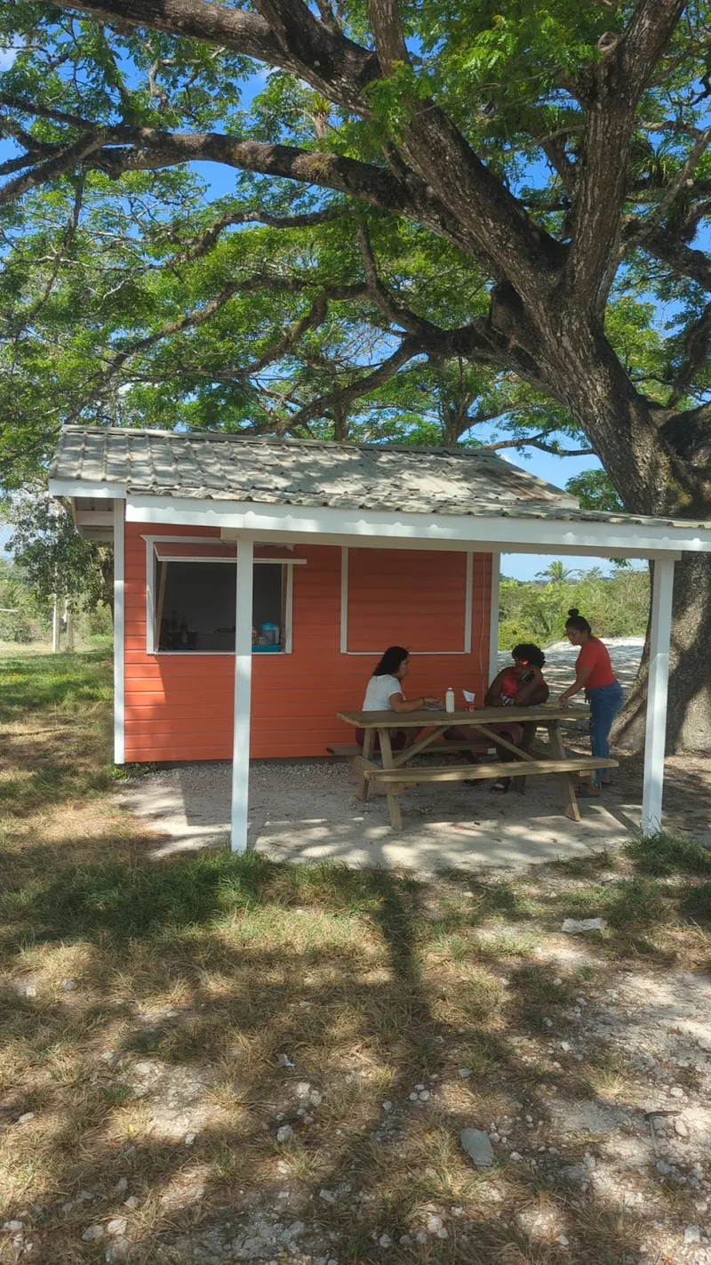 Taco Stand