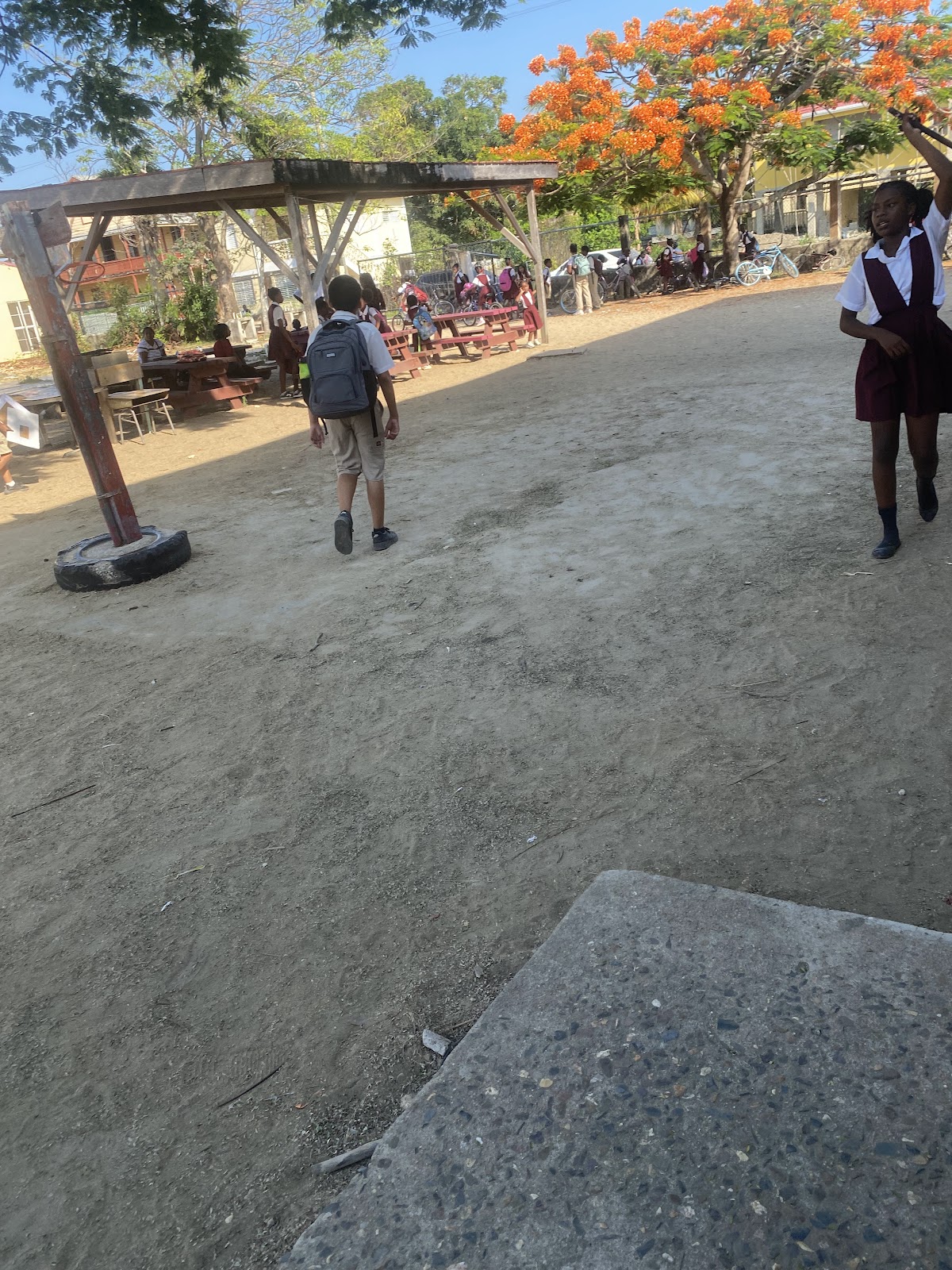 Sacred Heart Roman Catholic Primary School photo 4