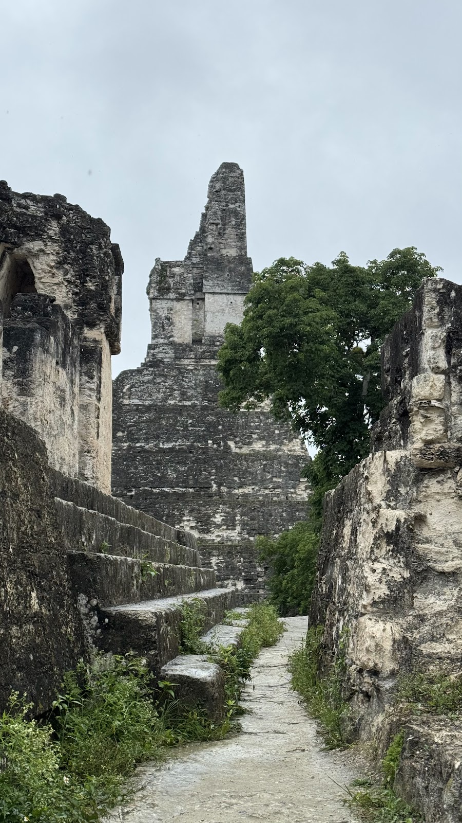 Belize Caving Expeditions photo 7