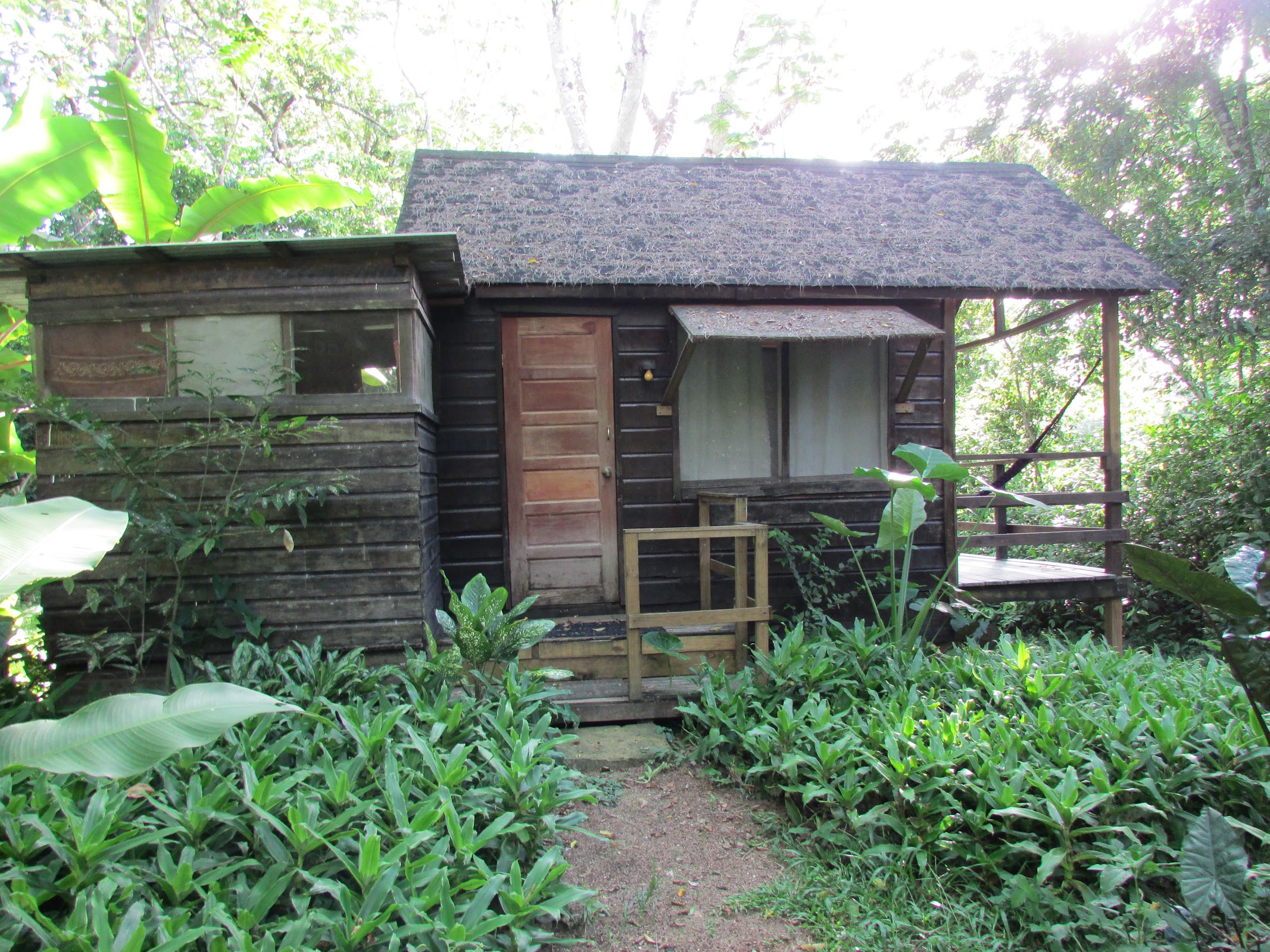 Parrot Nest Lodge photo 3