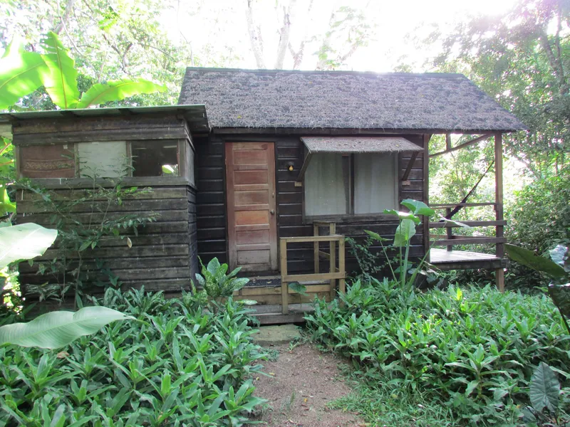 Parrot Nest Lodge photo 3