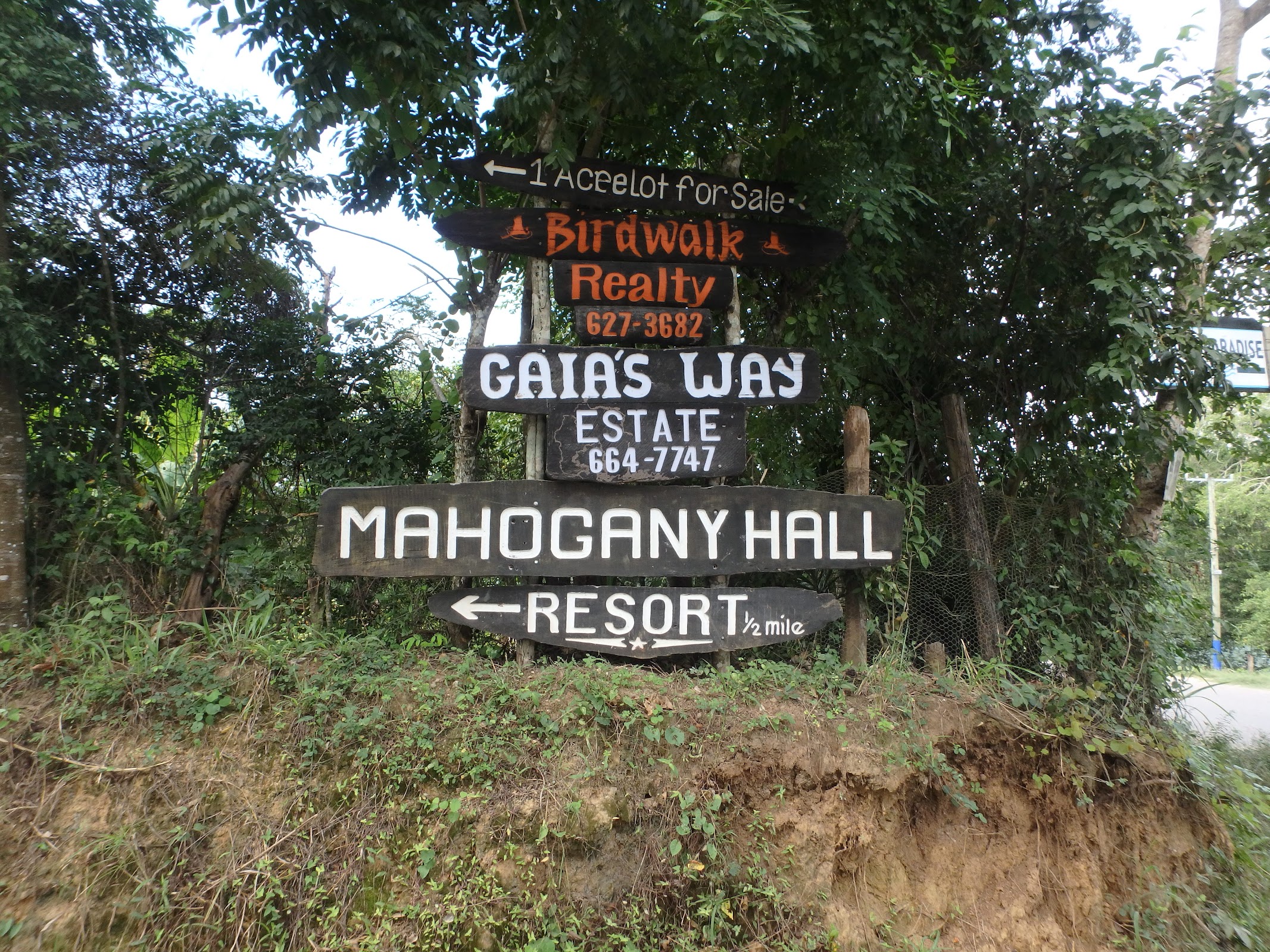 Parrot Nest Lodge photo 6