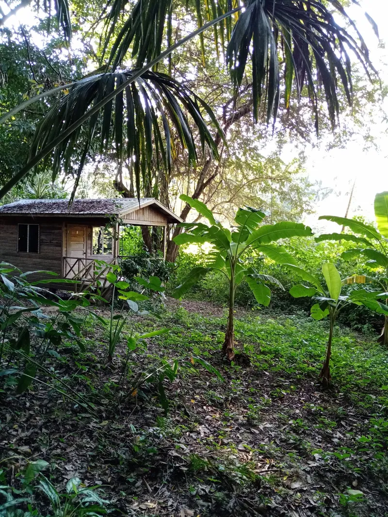 Parrot Nest Lodge