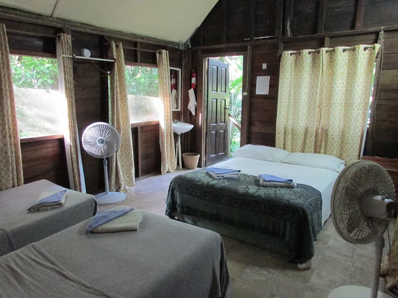 Parrot Nest Lodge photo 2