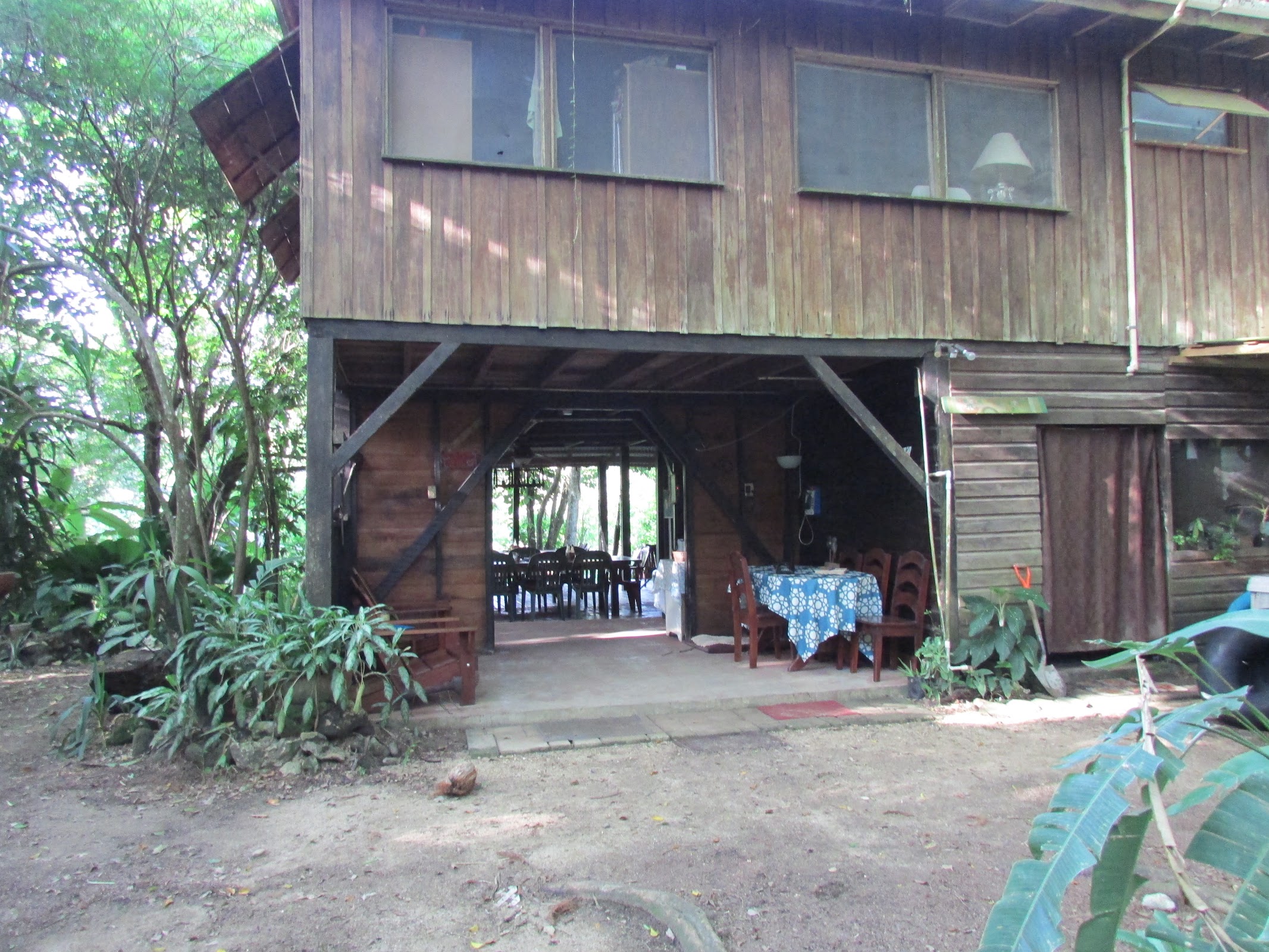 Parrot Nest Lodge photo 7