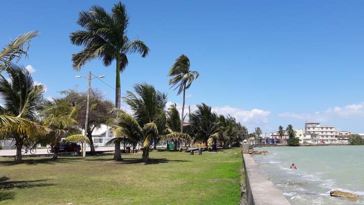 Veteran's Park photo 4