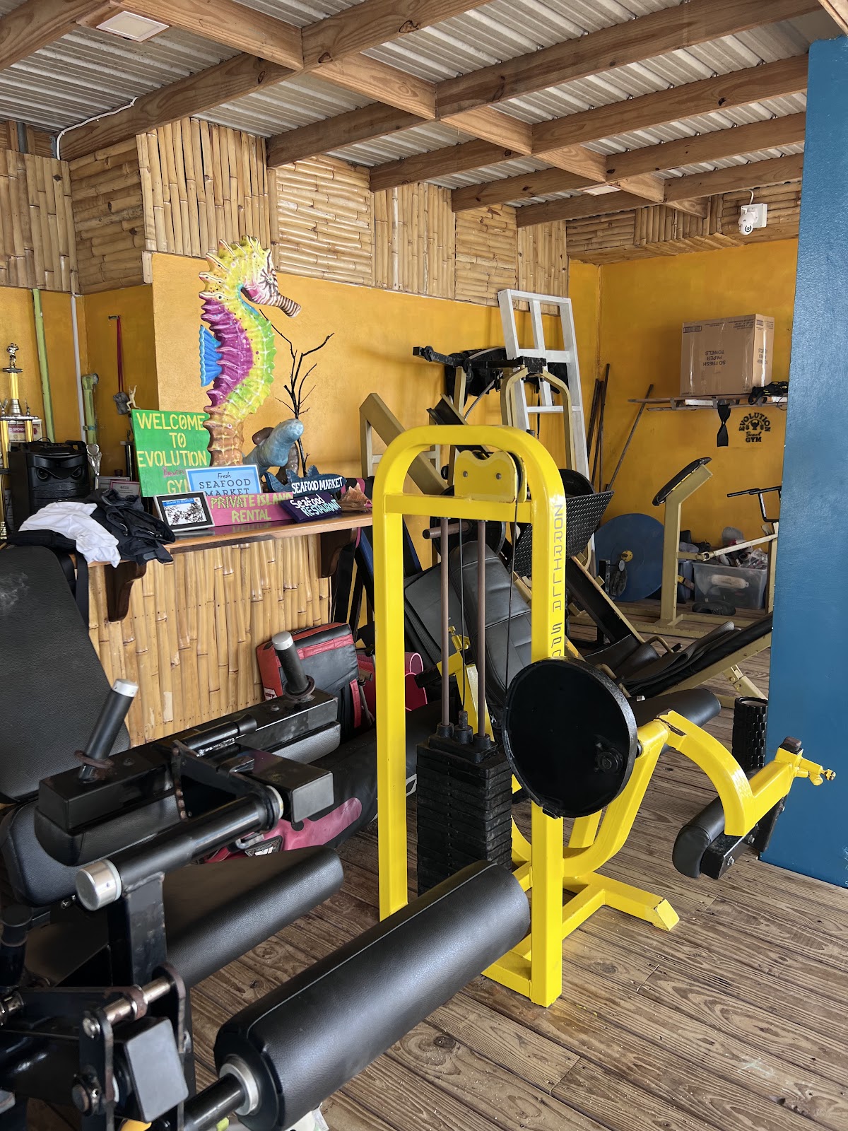 Evolution BEACH GYM photo 4