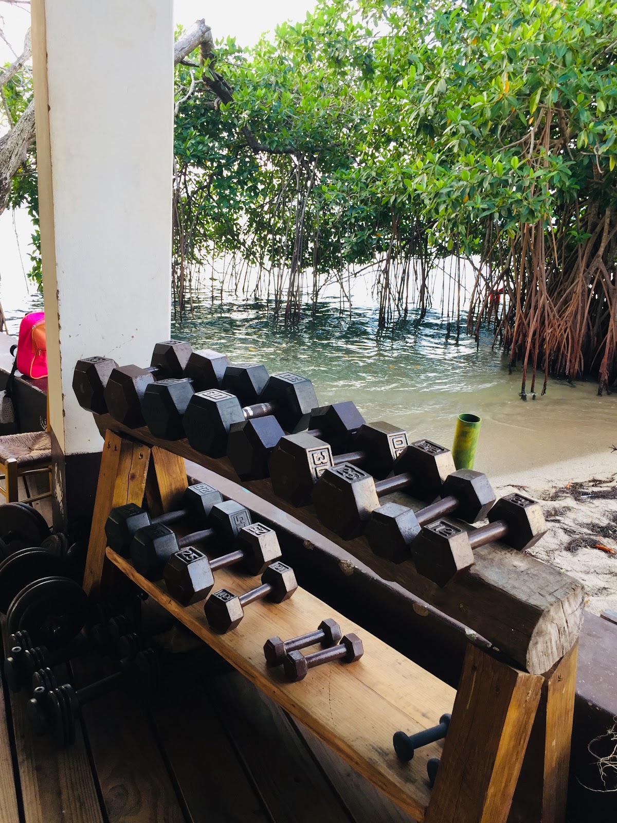 Evolution BEACH GYM photo 5
