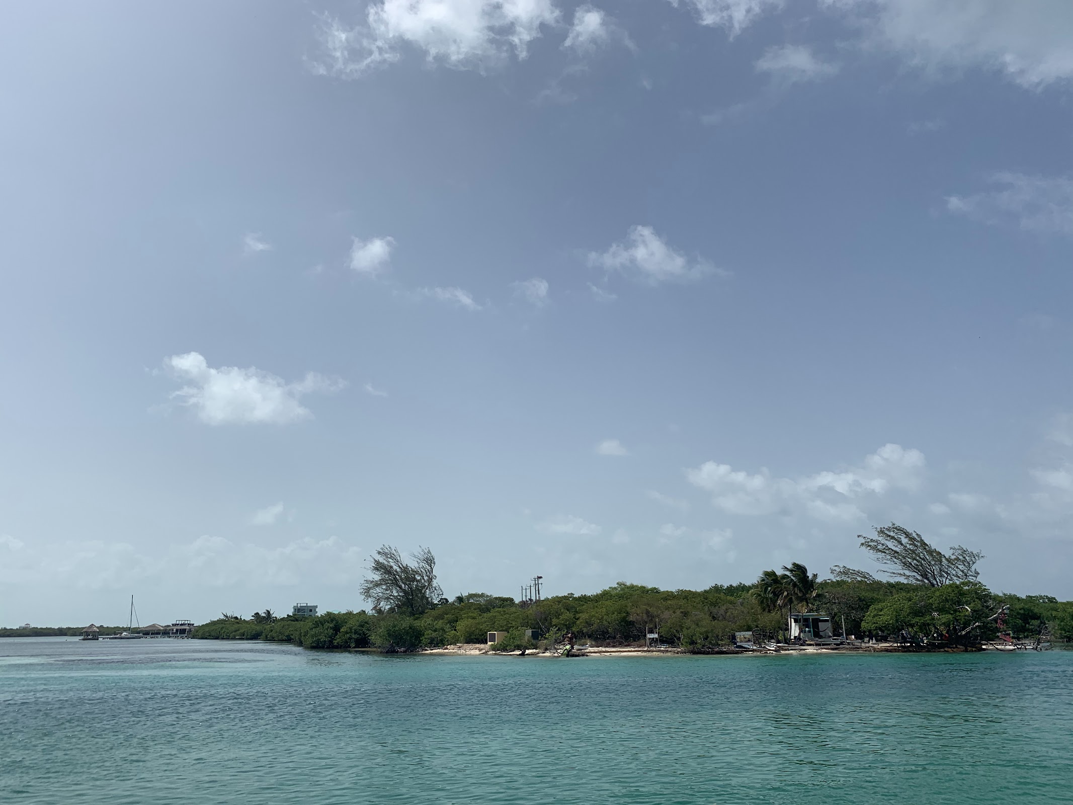Cayo Corker photo 2
