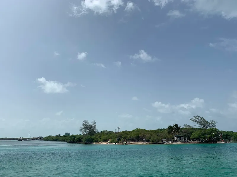 Cayo Corker photo 2