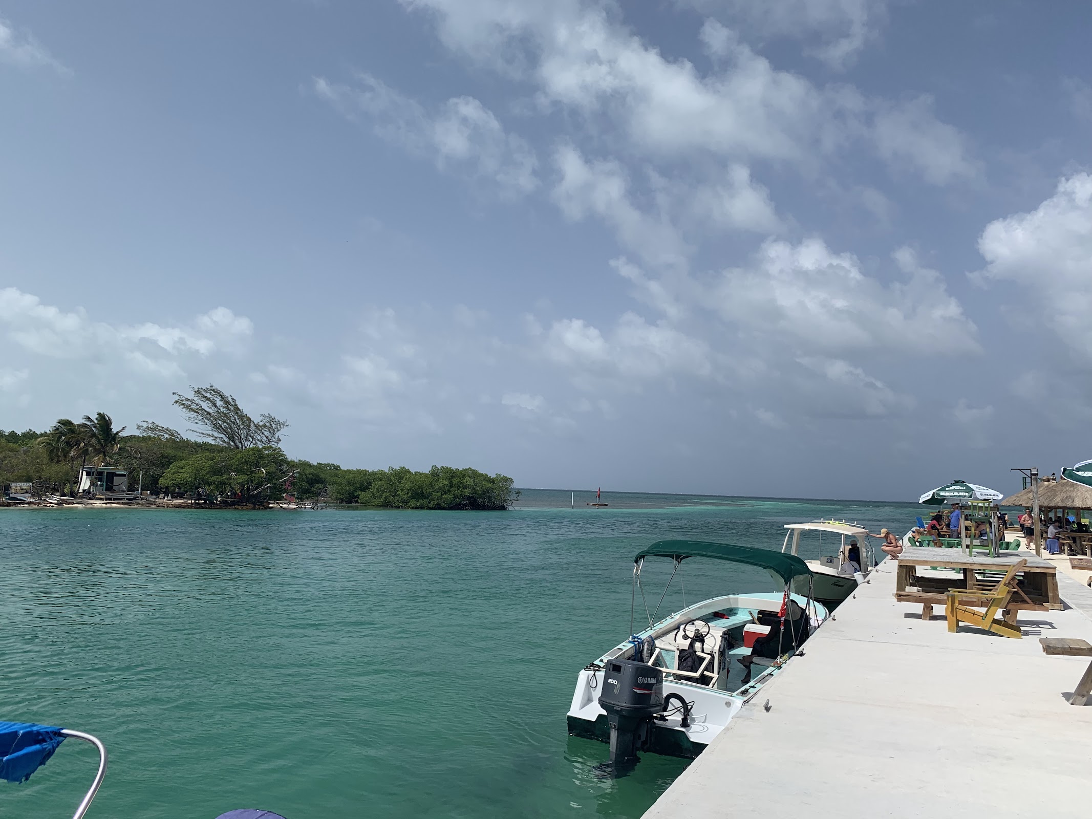 Cayo Corker photo 8