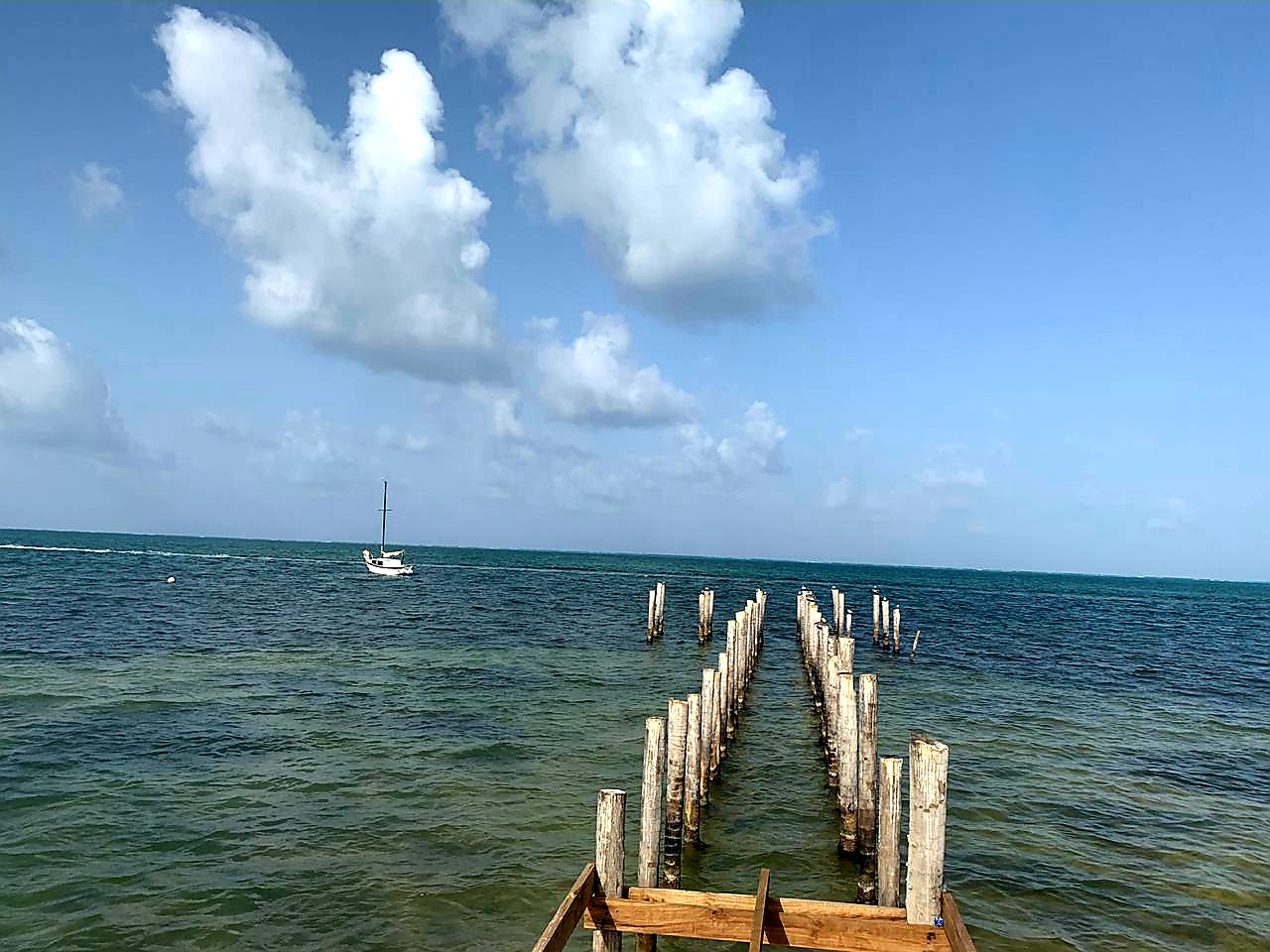 Cayo Corker photo 7