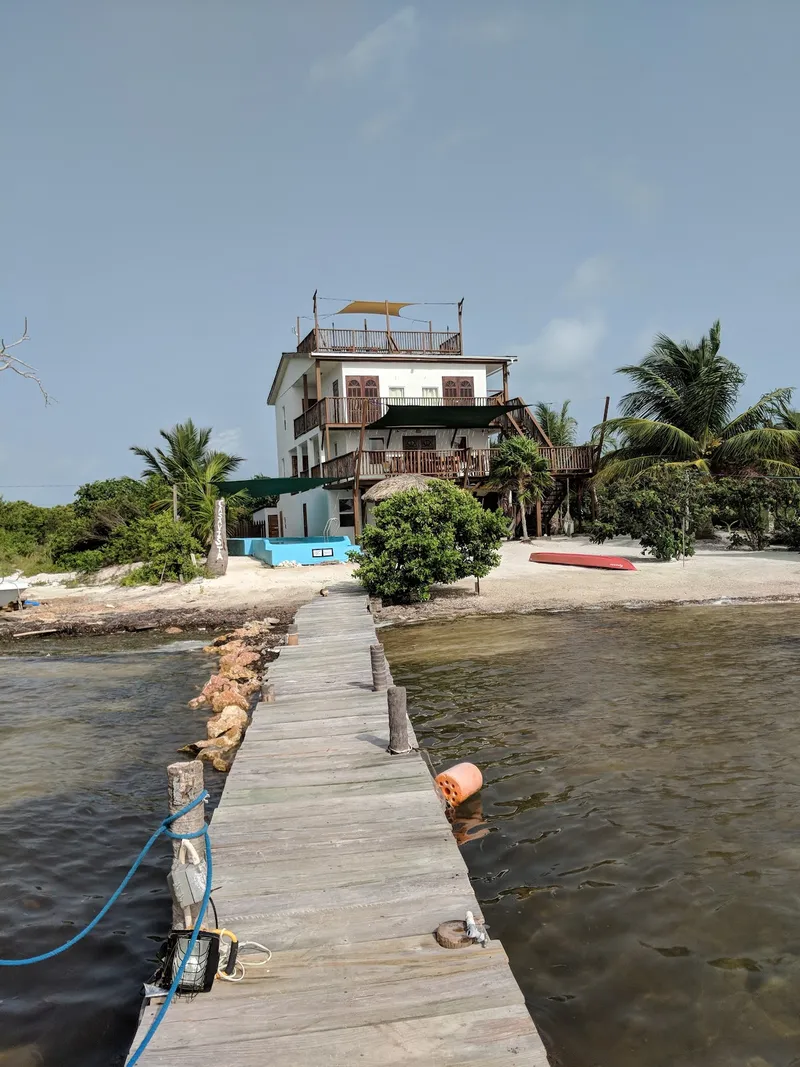 Cayo Corker photo 3