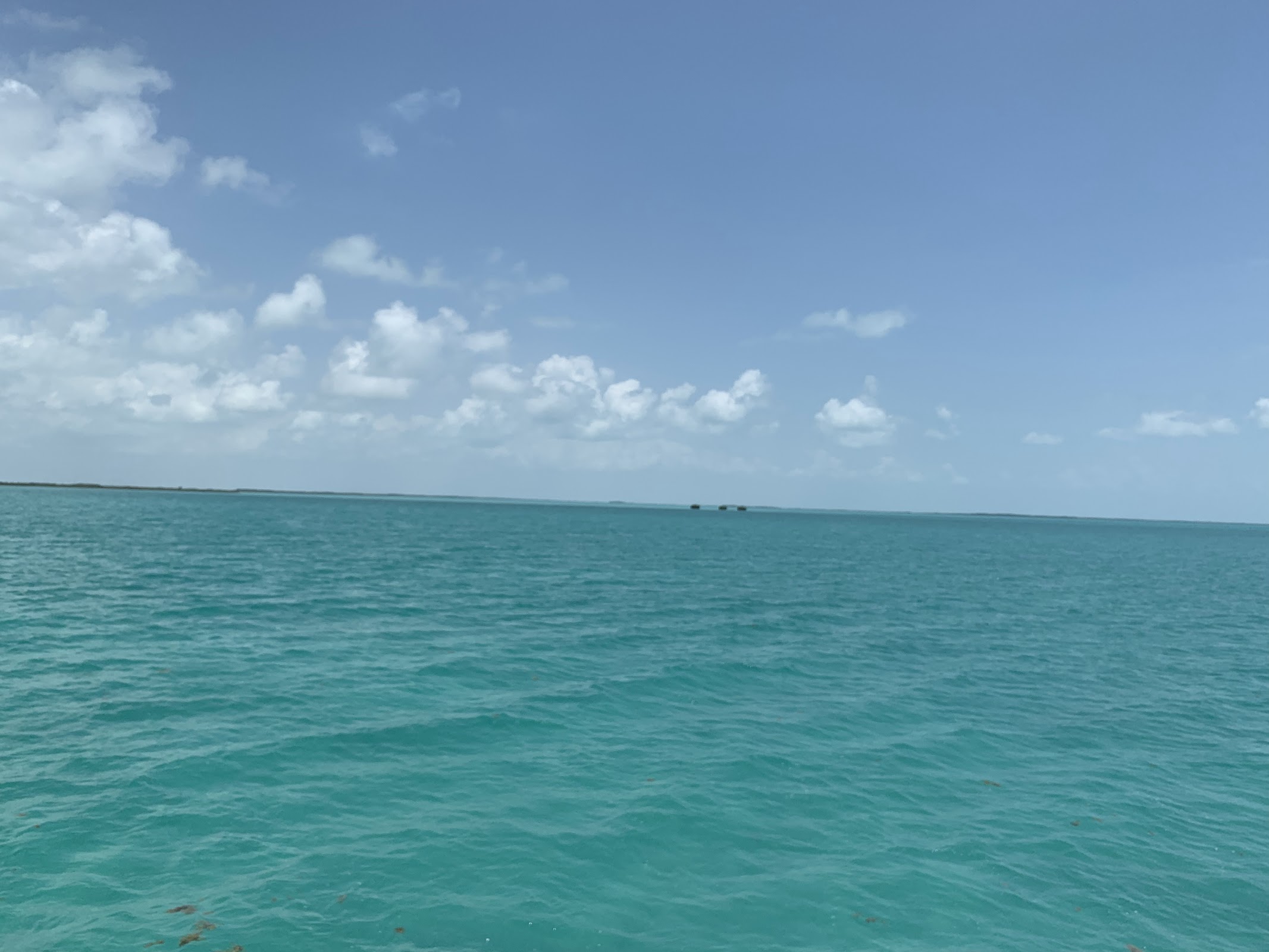 Cayo Corker photo 4