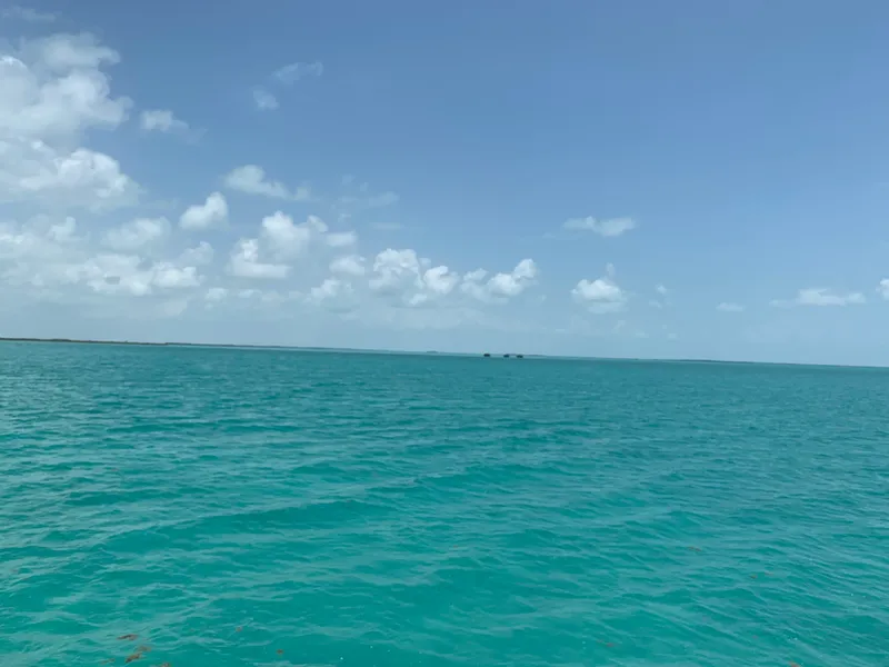 Cayo Corker photo 4