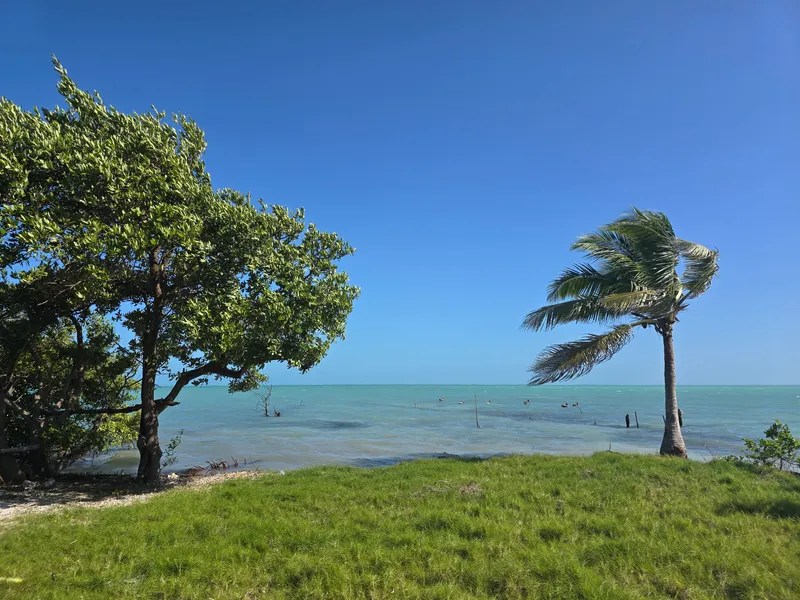 Coffee Caye