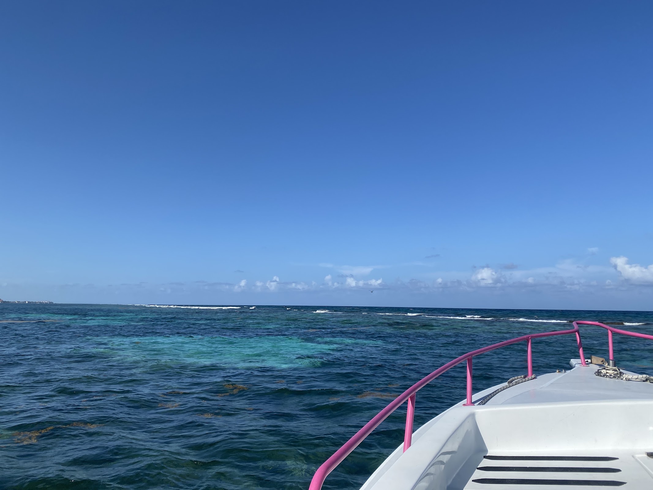 San Pedro, Belize photo 7