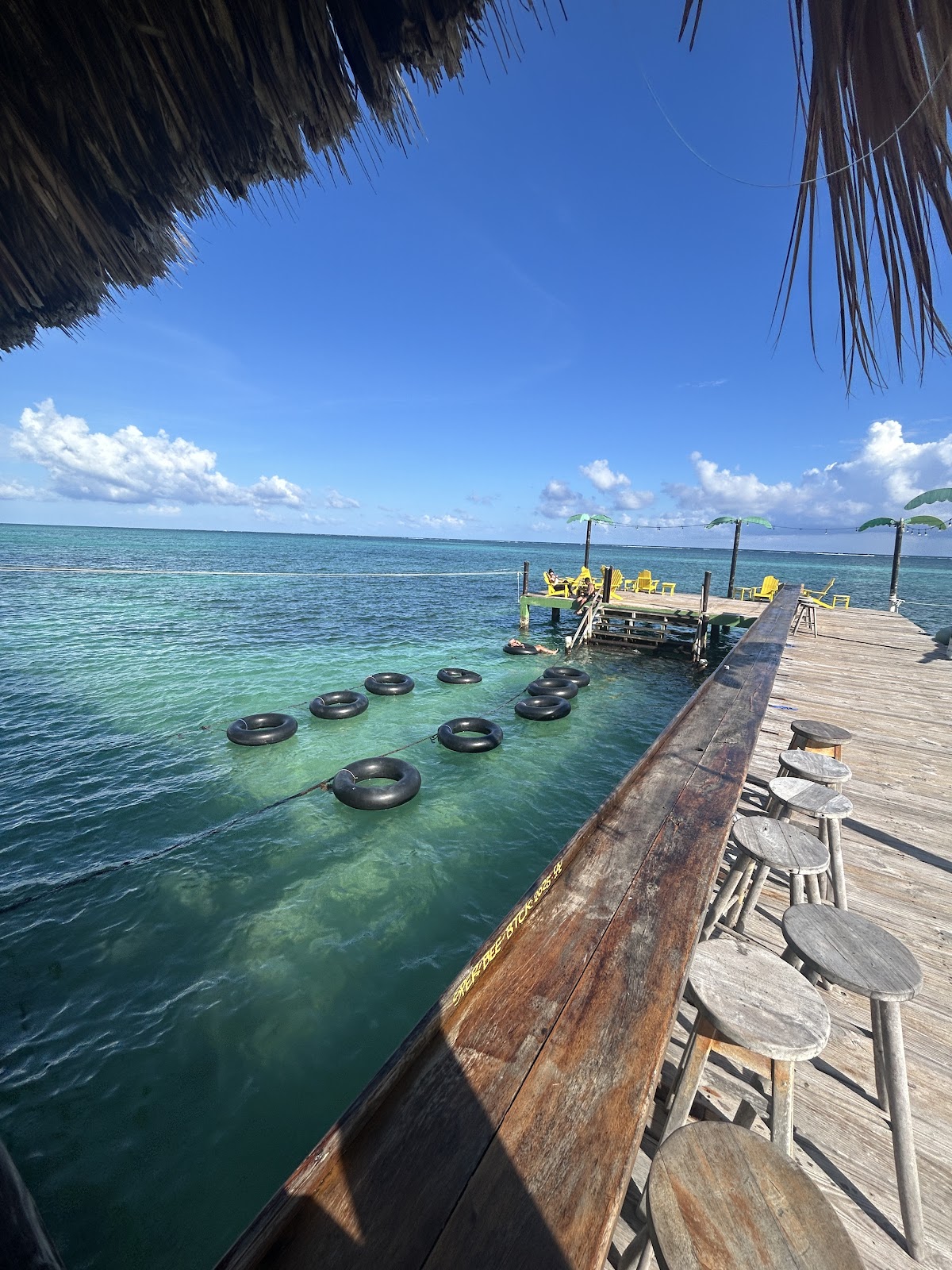 Palapa Bar and Grill photo 6