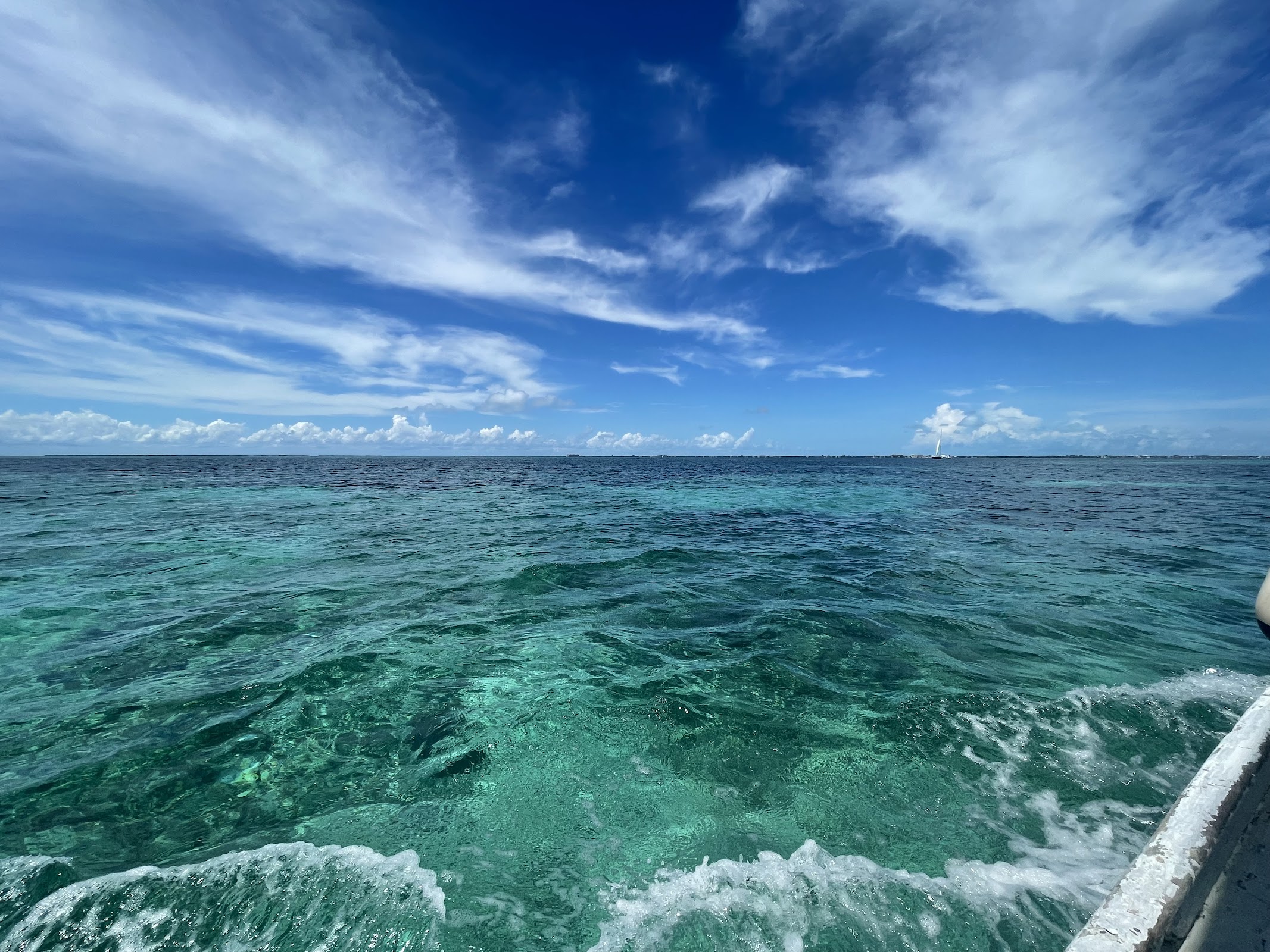 Ragga Sailing Adventures photo 2