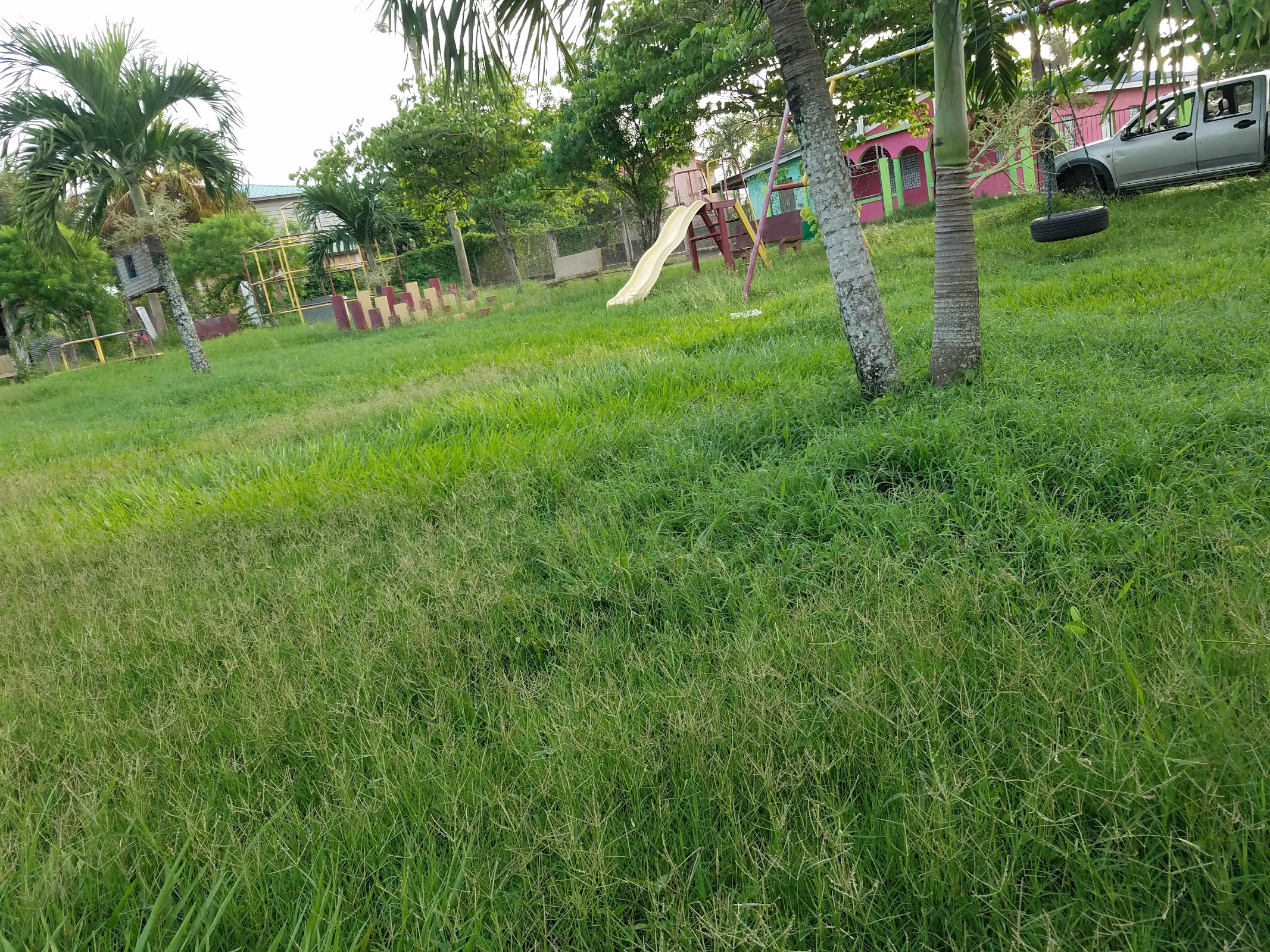Orange Orchard Park photo 2