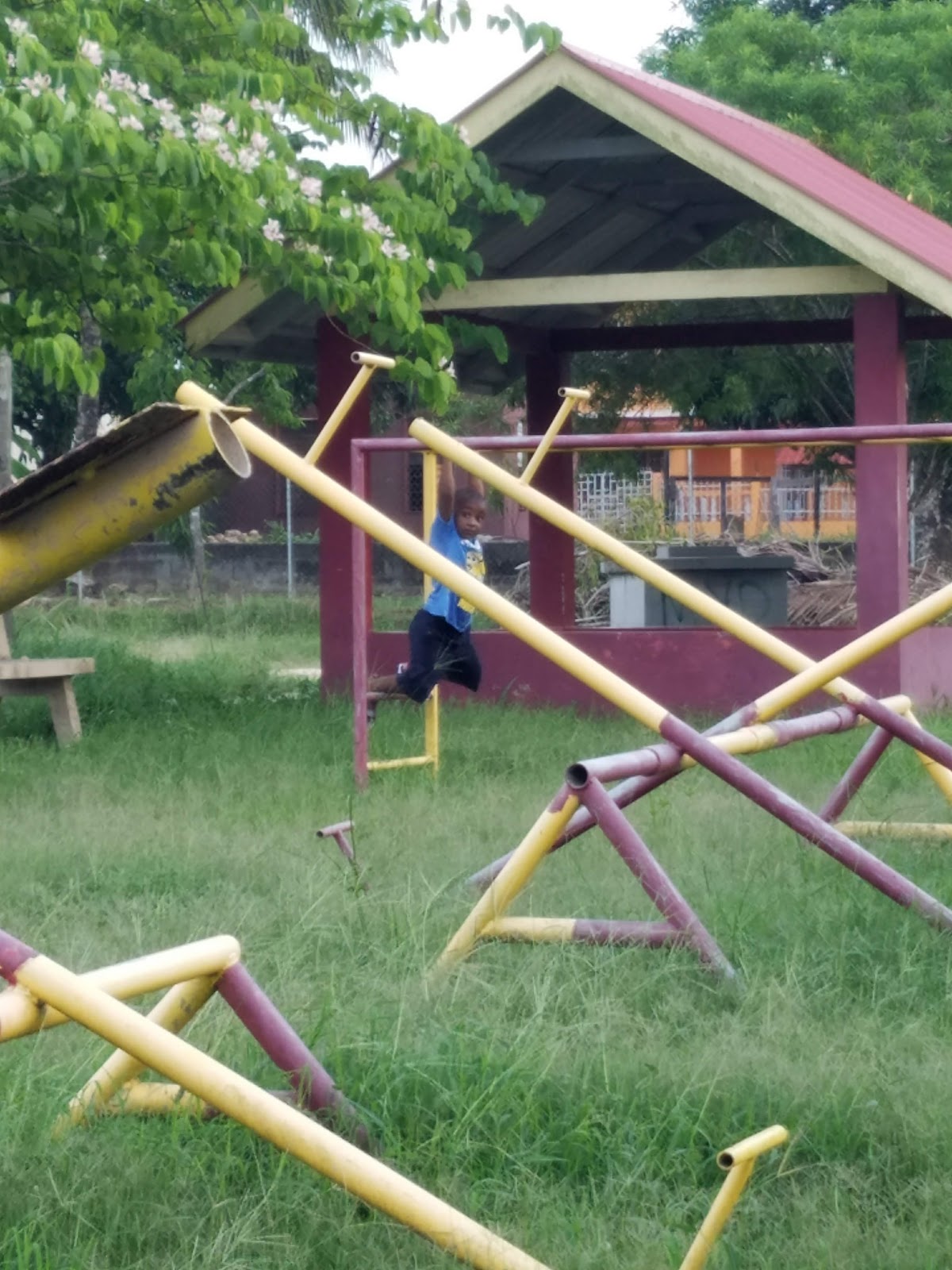 Orange Orchard Park photo 6