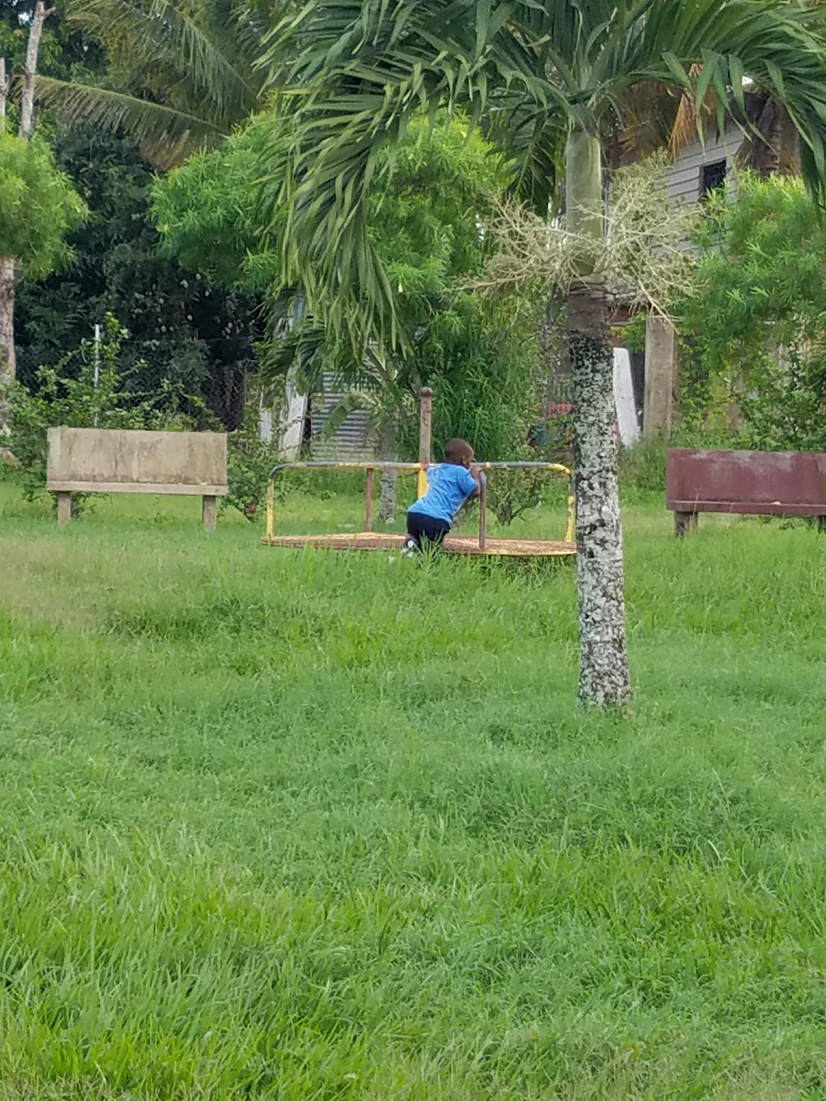 Orange Orchard Park