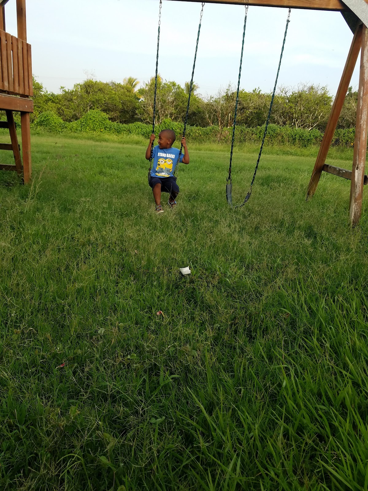 Orange Orchard Park photo 5
