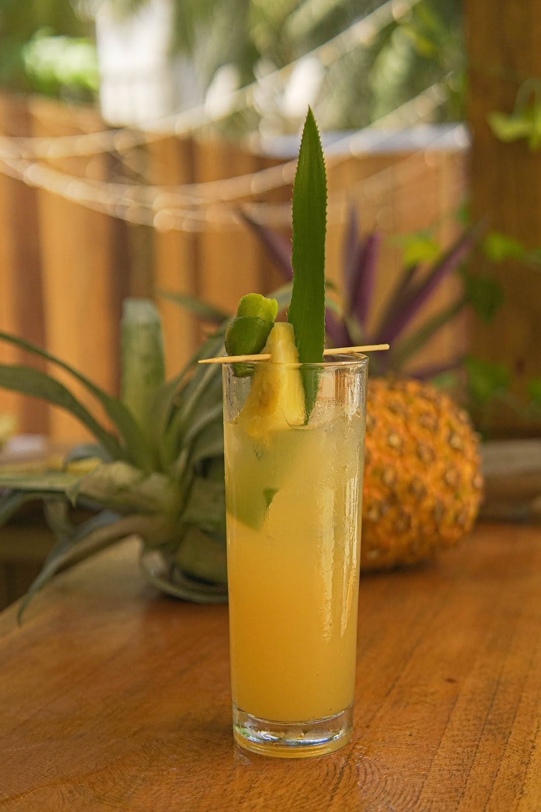 Mangrove Beach Cafe & Lounge photo 8